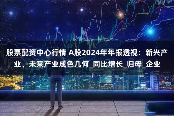 股票配资中心行情 A股2024年年报透视：新兴产业、未来产业成色几何_同比增长_归母_企业